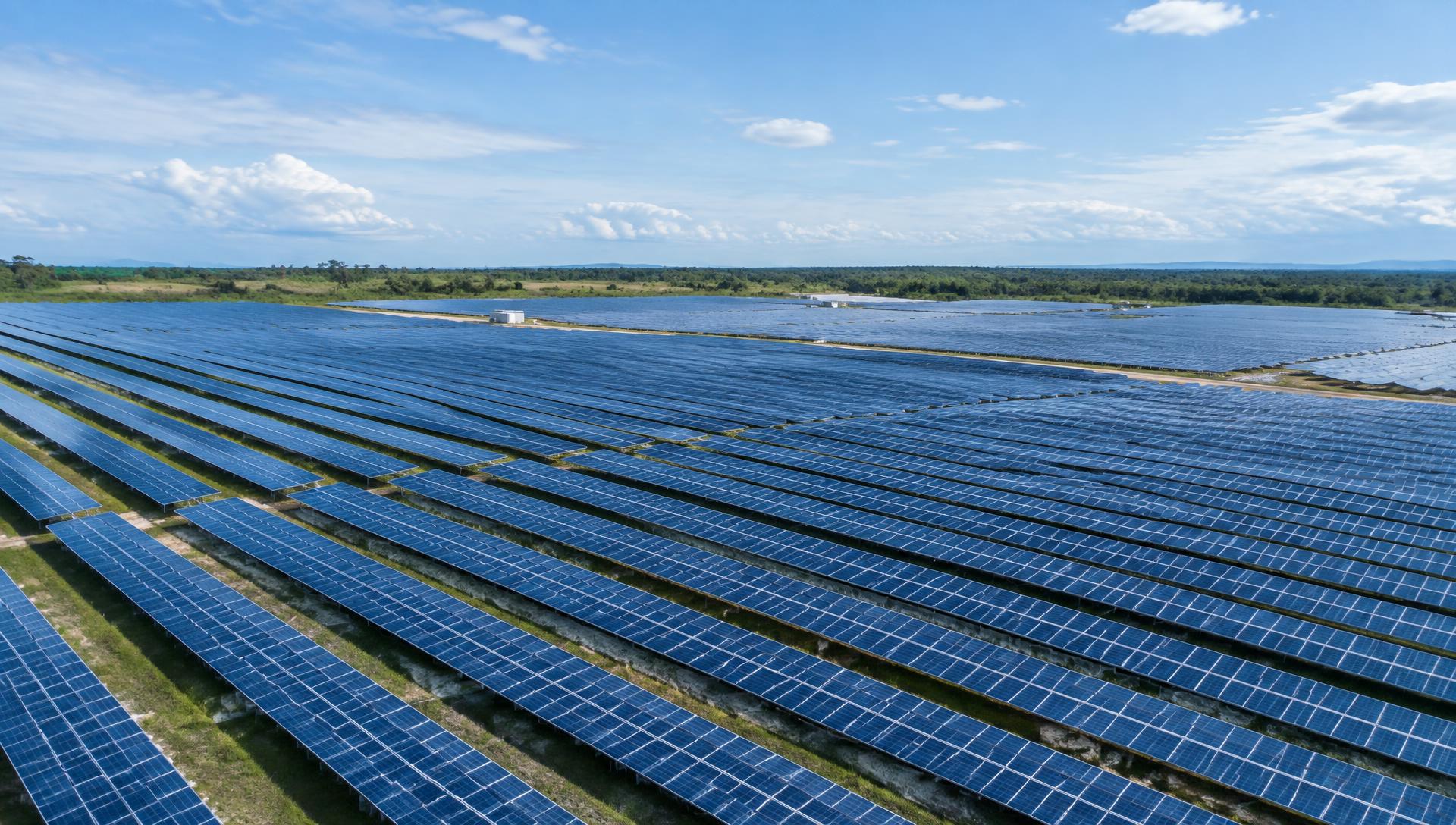 Campo de paneles solares bajo un cielo despejado