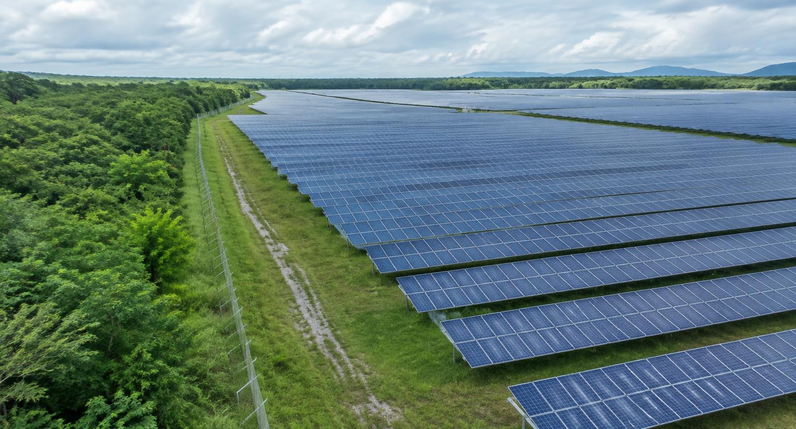 Vista aérea de una instalación de paneles solares